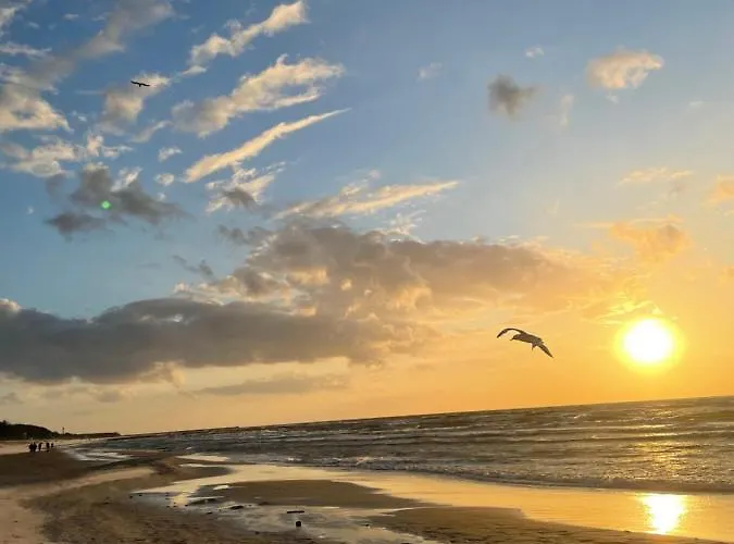 Semesterbostad Relax